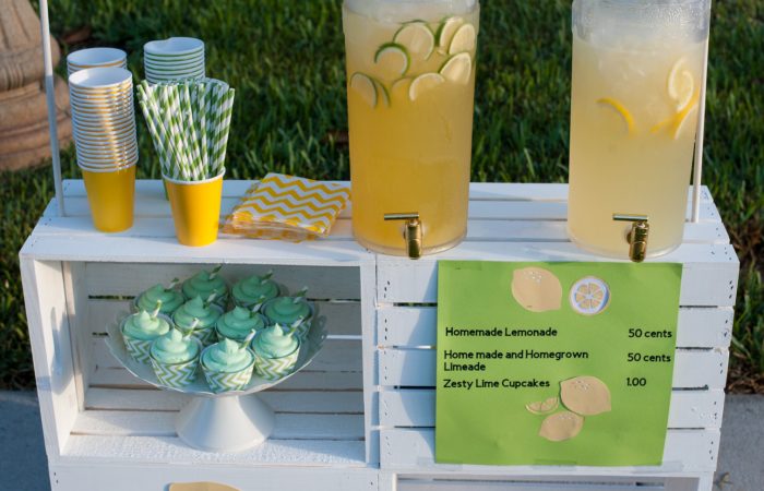 DIY Lemonade Stand For Your Kids